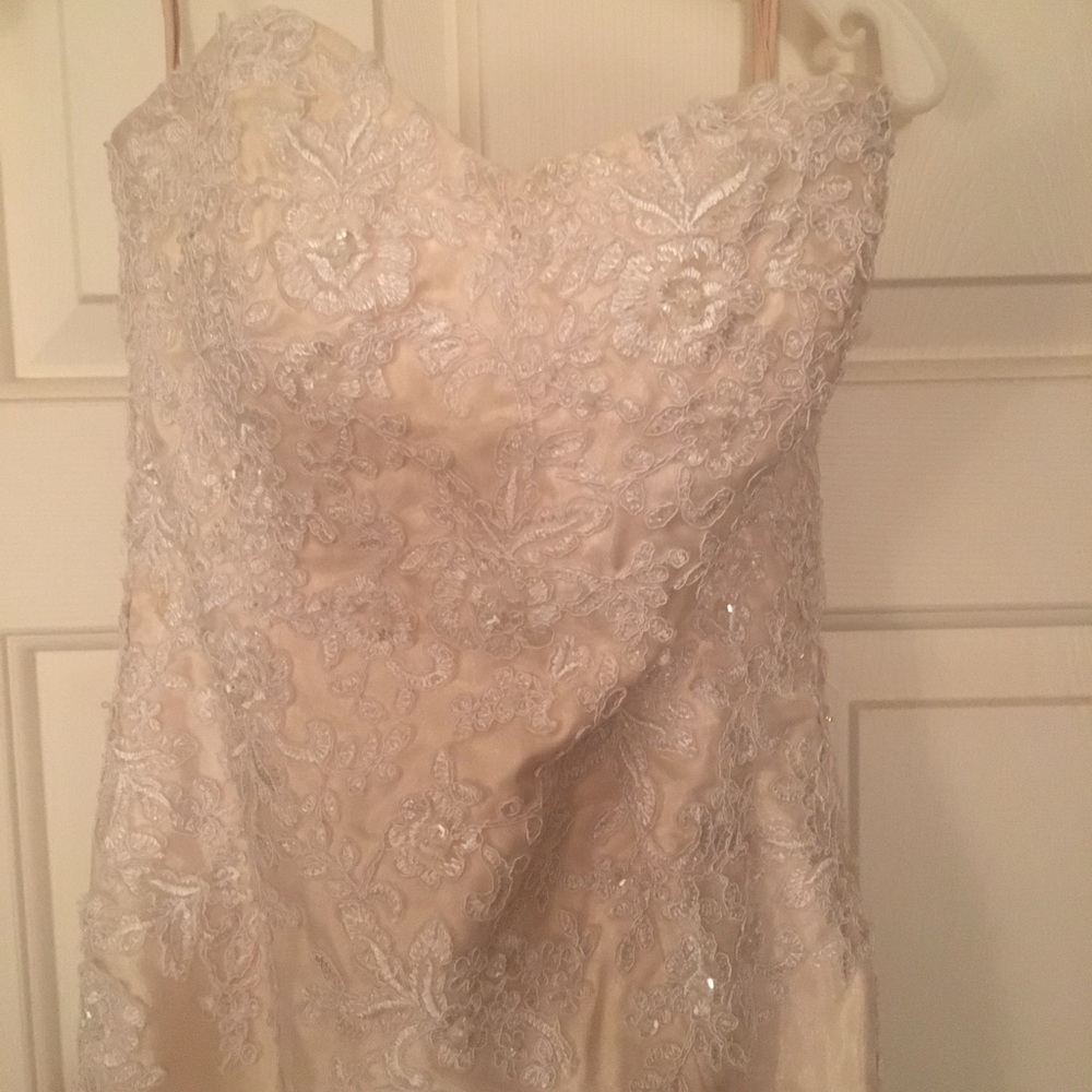 Stunning wedding dress!